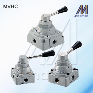 Rotary hand lever valve